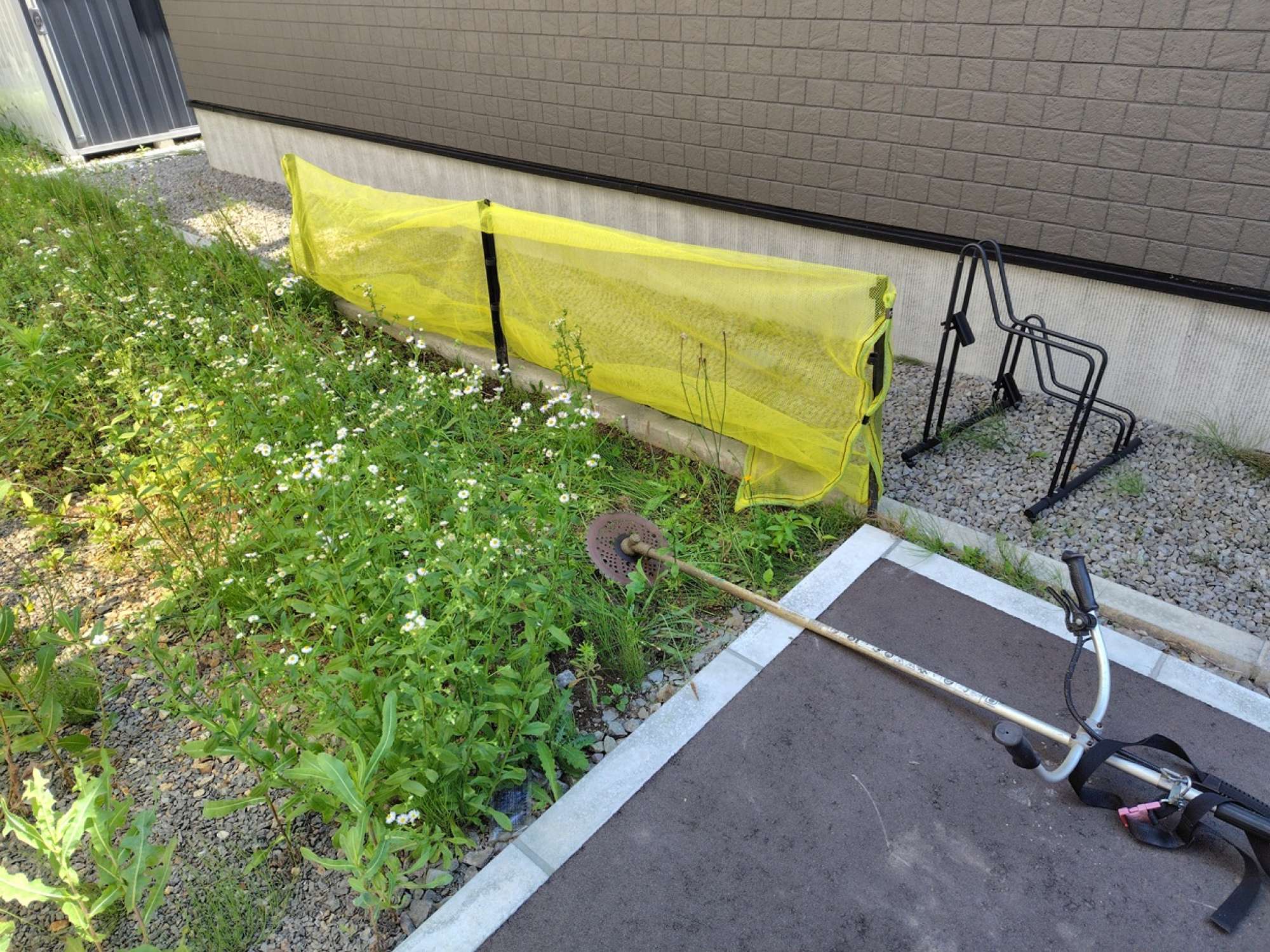 東茨戸建売　お引渡し前点検 - 